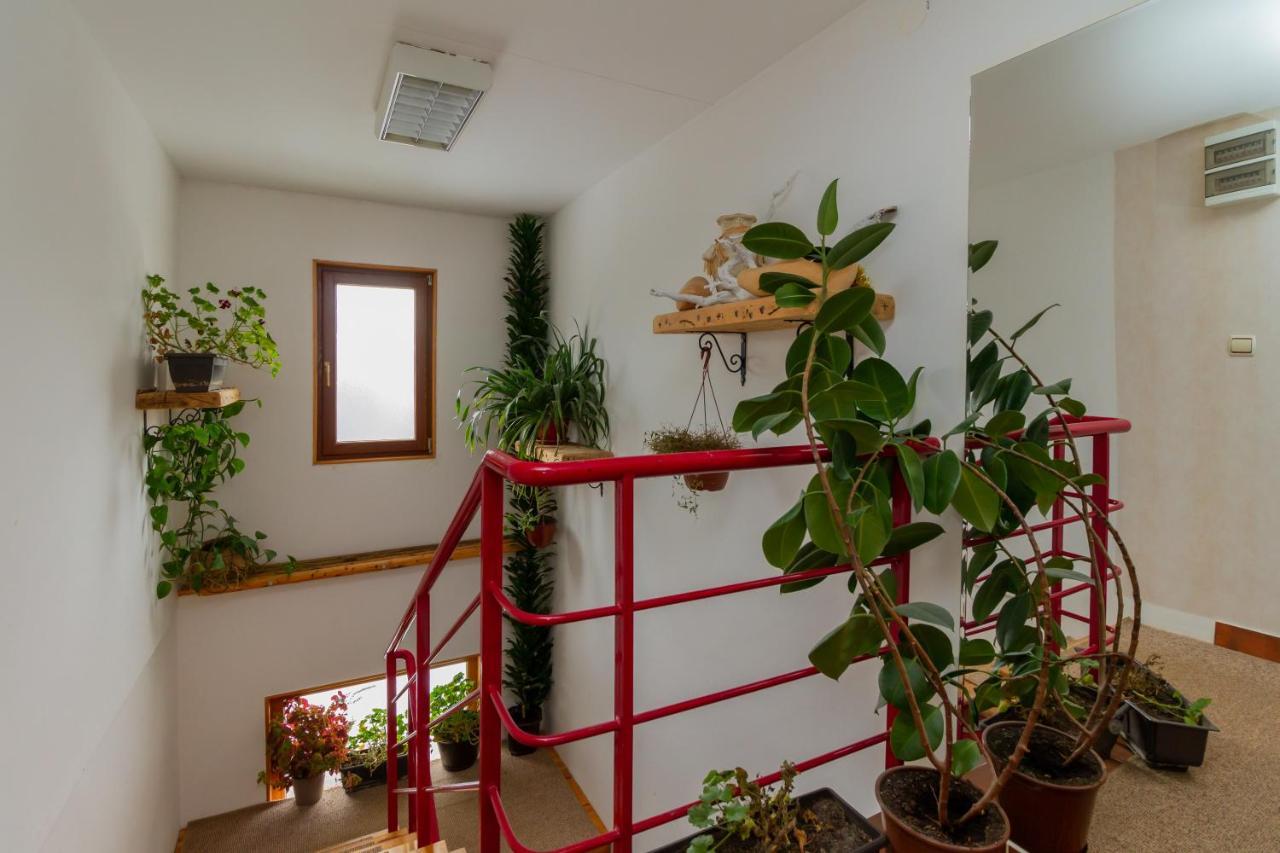 Apartmani Nika זלאטיבור מראה חיצוני תמונה