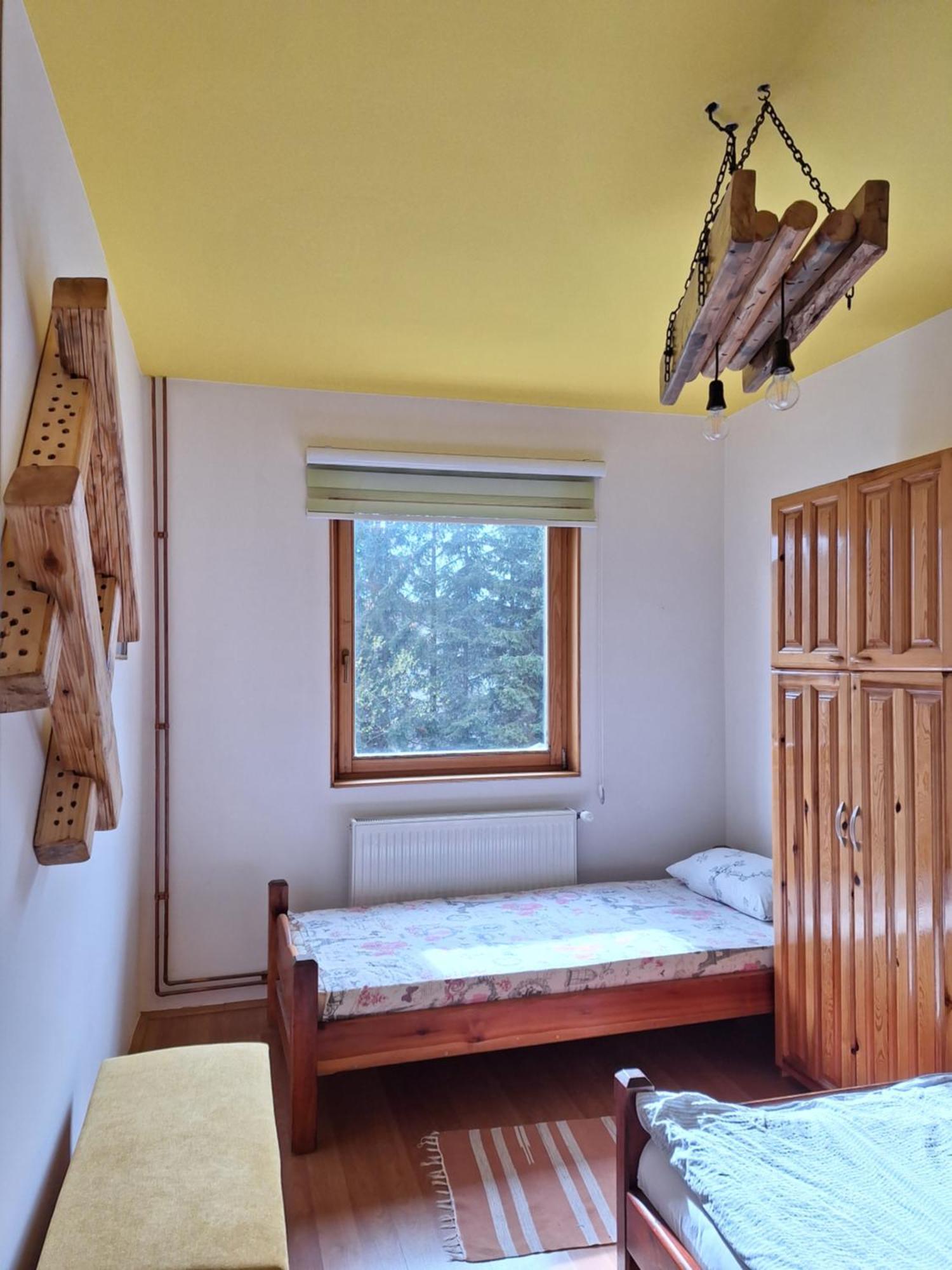Apartmani Nika זלאטיבור מראה חיצוני תמונה