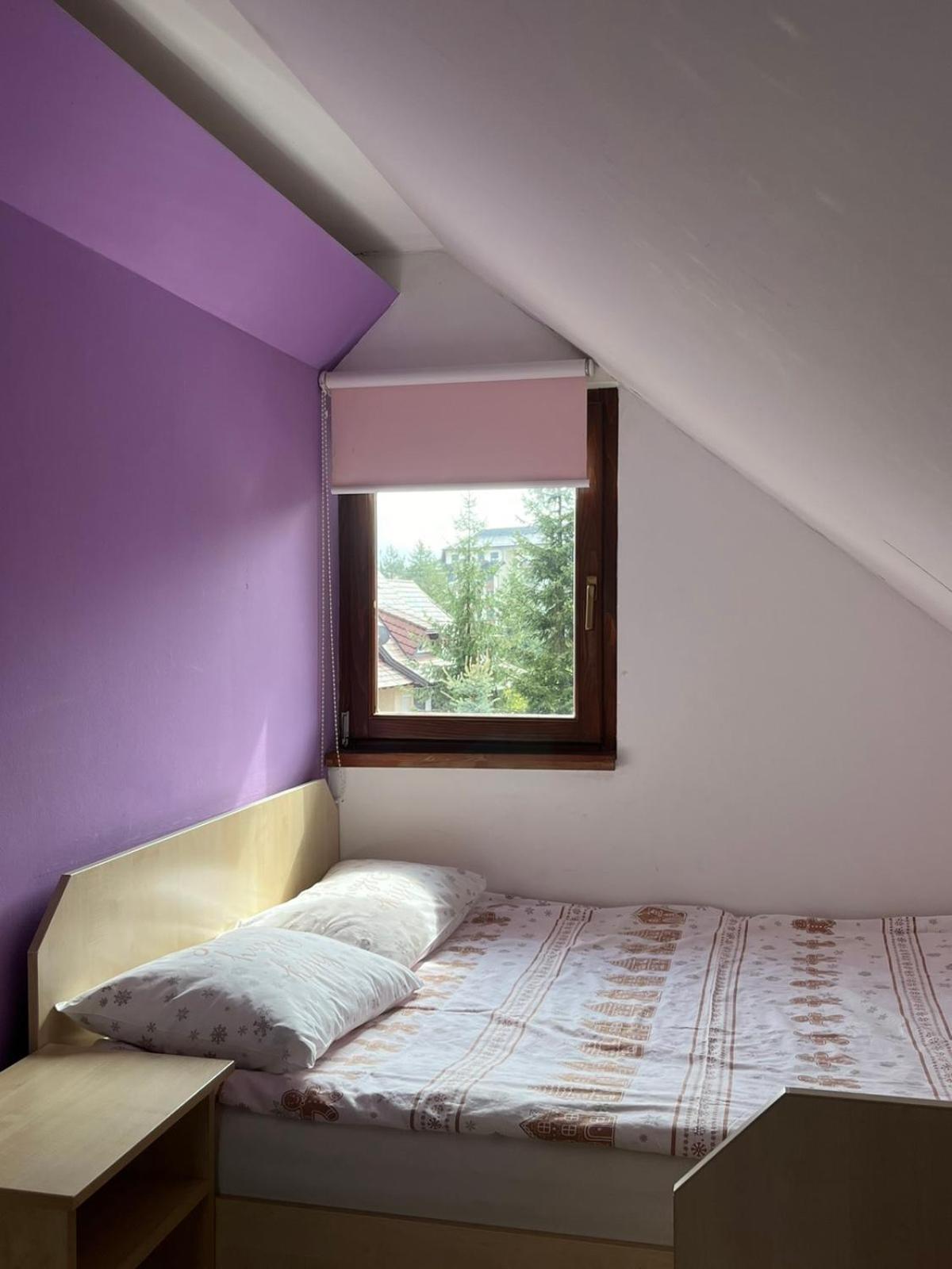 Apartmani Nika זלאטיבור מראה חיצוני תמונה